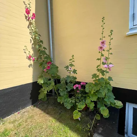 Lejlighed Flat In Town Skagen