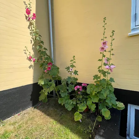 Apartmán Flat In Town Skagen